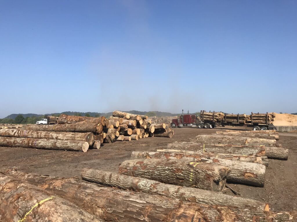 Graf Brothers Flooring And Lumber Floor Roma